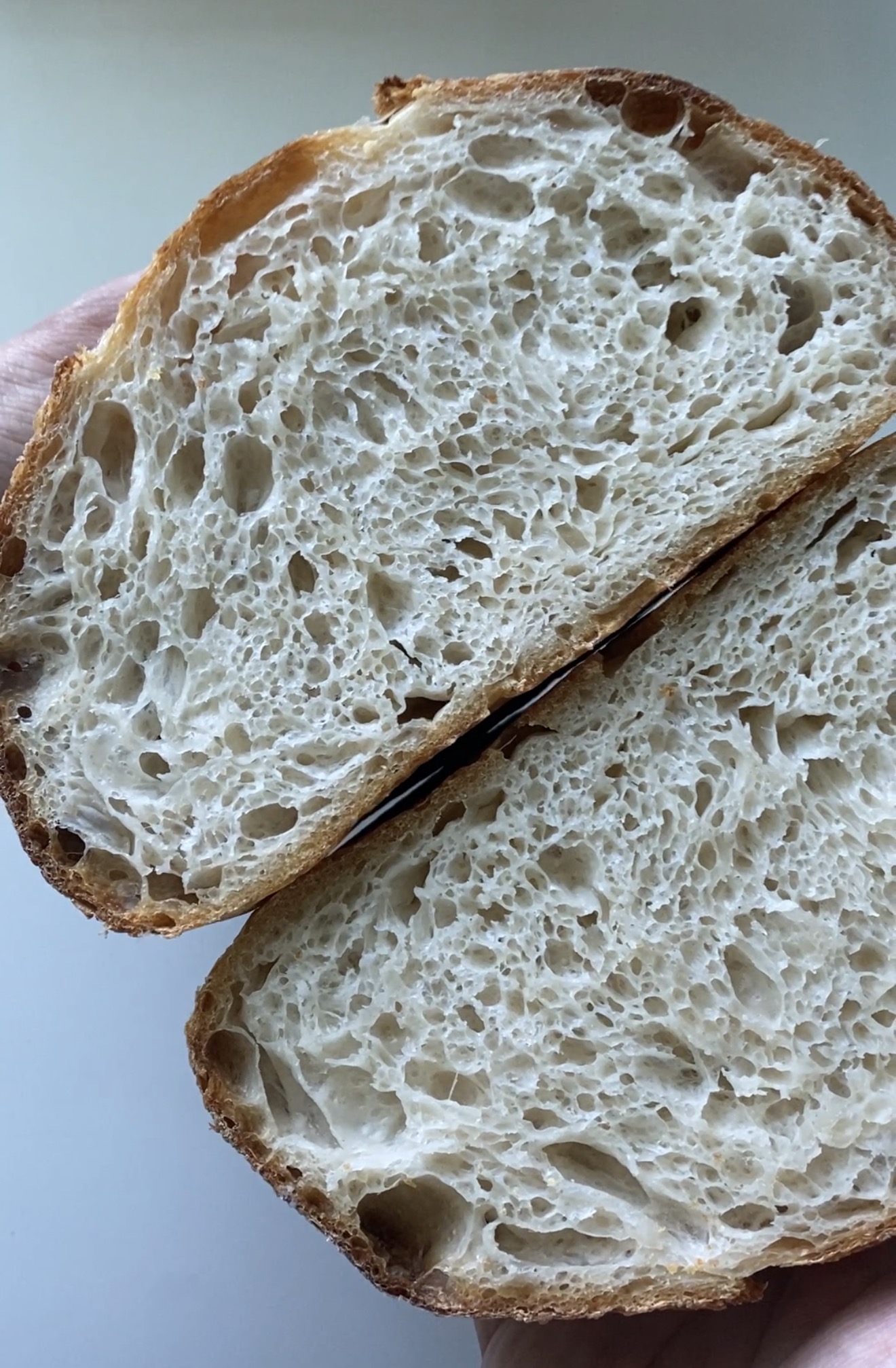 Sourdough Misfit