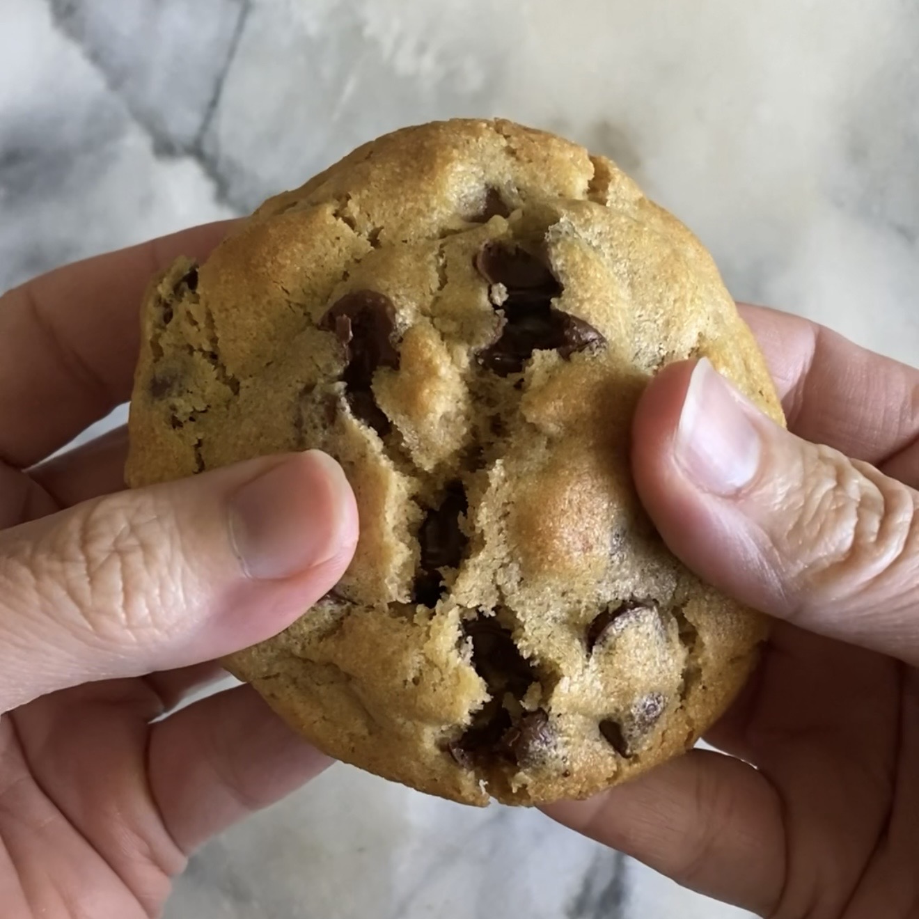 Sourdough Chocolate chip cookies