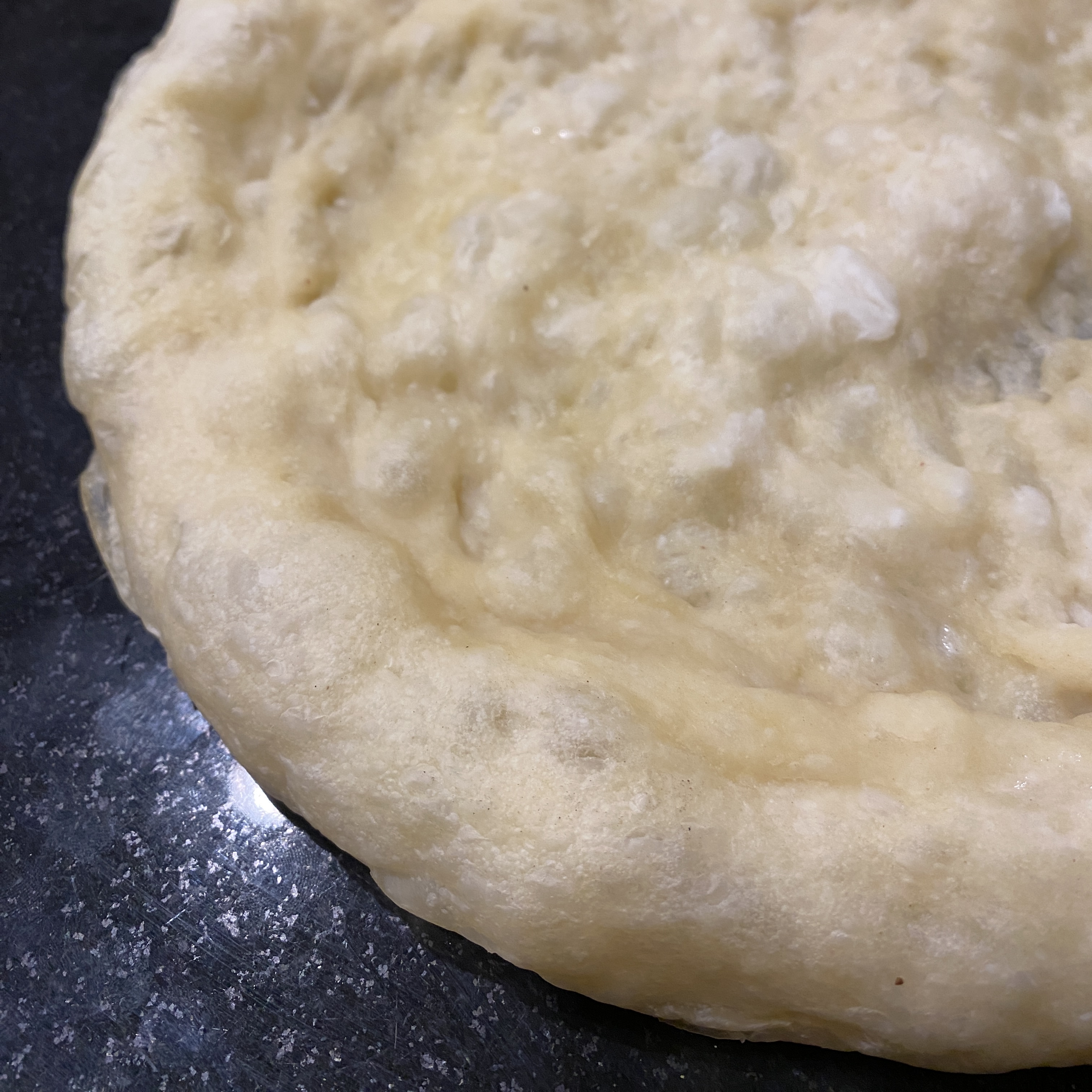 Sourdough Pizza Crust